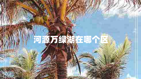 河源万绿湖在哪个区