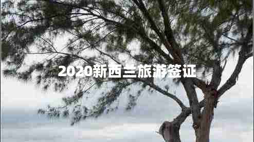 2020新西兰旅游签证