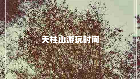 天柱山游玩时间