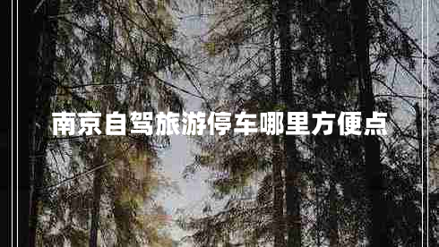 南京自驾旅游停车哪里方便点