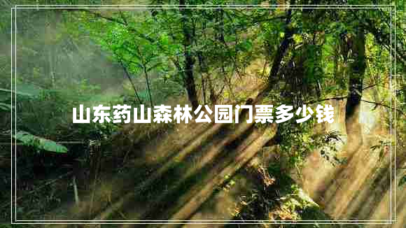 山东药山森林公园门票多少钱