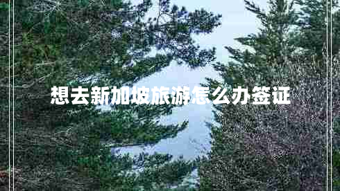 想去新加坡旅游怎么办签证