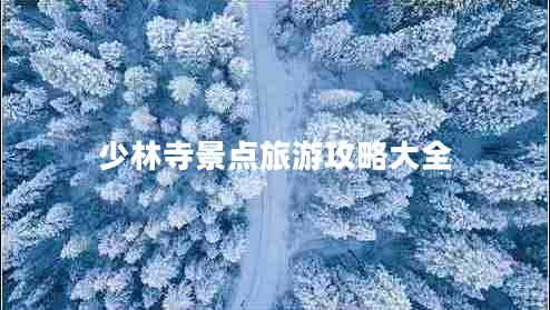 少林寺景点旅游攻略大全