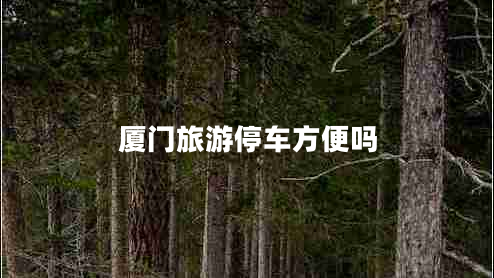 厦门旅游停车方便吗