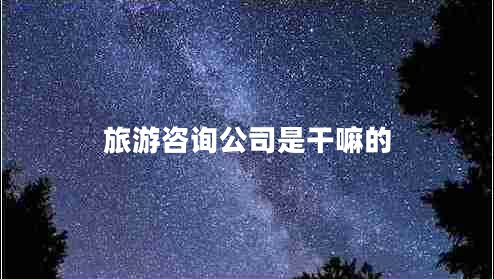 旅游咨询公司是干嘛的