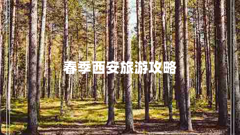 春季西安旅游攻略