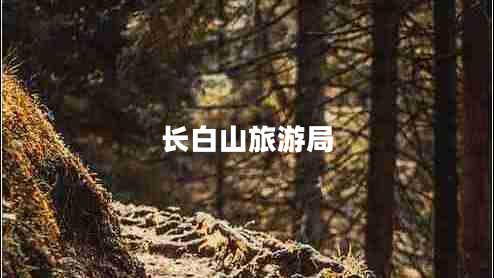 长白山旅游局