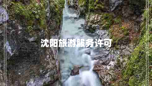 沈阳旅游服务许可