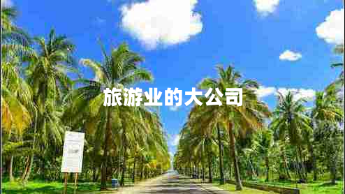 旅游业的大公司