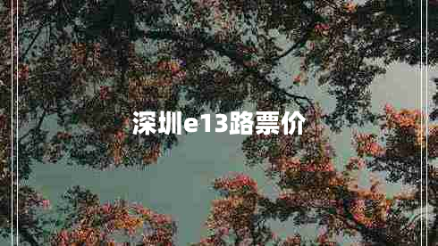 深圳e13路票价