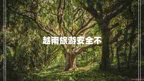 越南旅游安全不