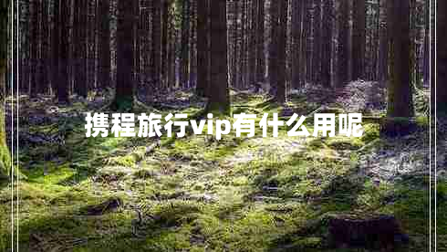 携程旅行vip有什么用呢