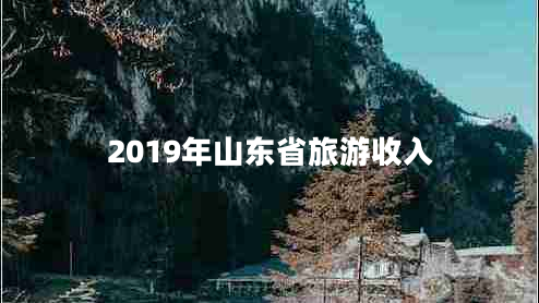 2019年山东省旅游收入