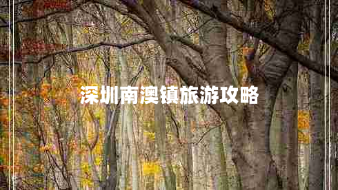 深圳南澳镇旅游攻略