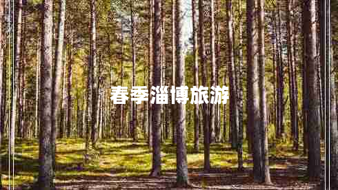 春季淄博旅游