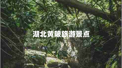 湖北黄陂旅游景点