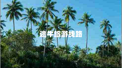 途牛旅游线路