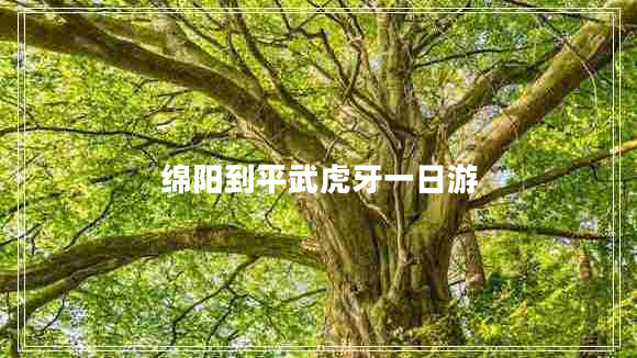 绵阳到平武虎牙一日游