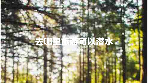 去哪里旅游可以潜水