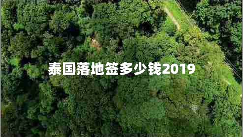 泰国落地签多少钱2019