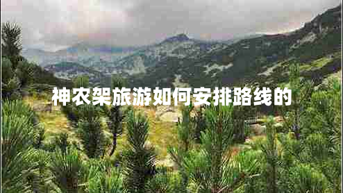 神农架旅游如何安排路线的