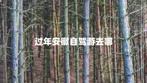 过年安徽自驾游去哪