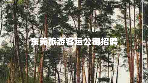 东莞旅游客运公司招聘