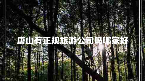 唐山有正规旅游公司吗哪家好