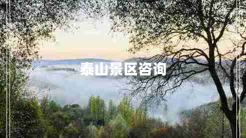 泰山景区咨询