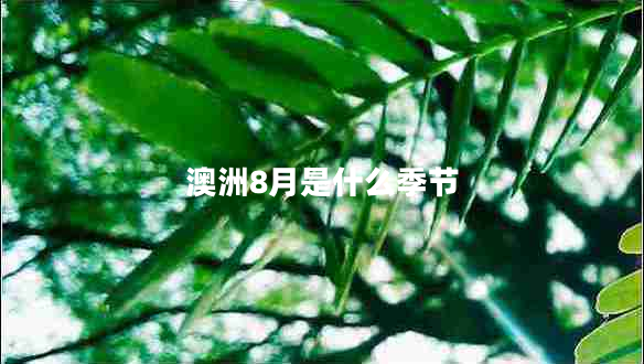 澳洲8月是什么季节