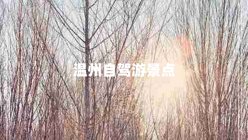 温州自驾游景点