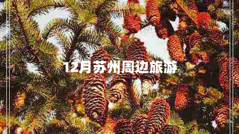 12月苏州周边旅游