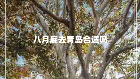 八月底去青岛合适吗