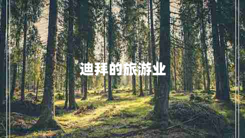 迪拜的旅游业