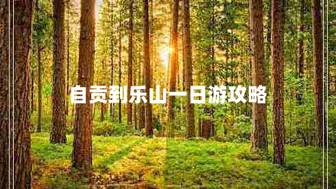 自贡到乐山一日游攻略