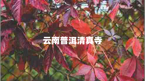 云南普洱清真寺