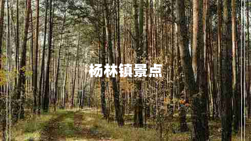 杨林镇景点