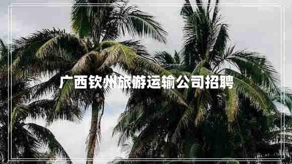 广西钦州旅游运输公司招聘