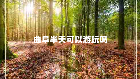 曲阜半天可以游玩吗