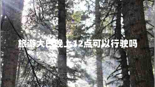 旅游大巴晚上12点可以行驶吗