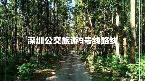 深圳公交旅游9号线路线