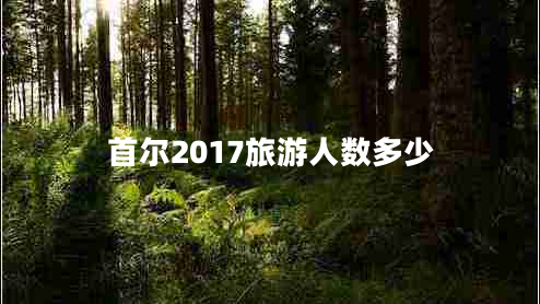 首尔2017旅游人数多少