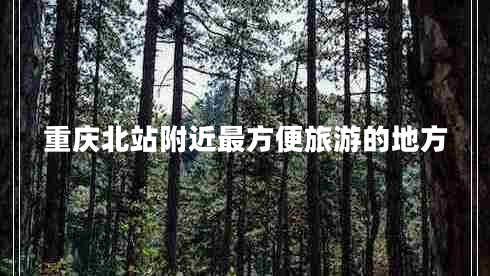 重庆北站附近最方便旅游的地方