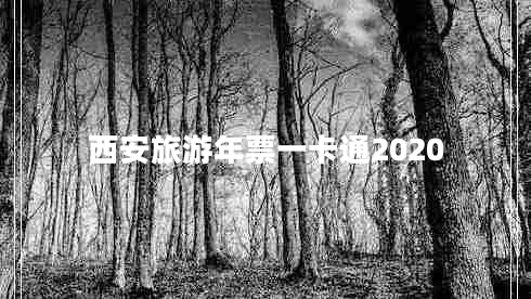 西安旅游年票一卡通2020