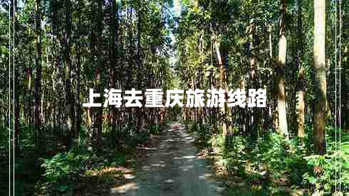 上海去重庆旅游线路