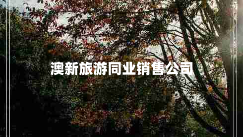 澳新旅游同业销售公司