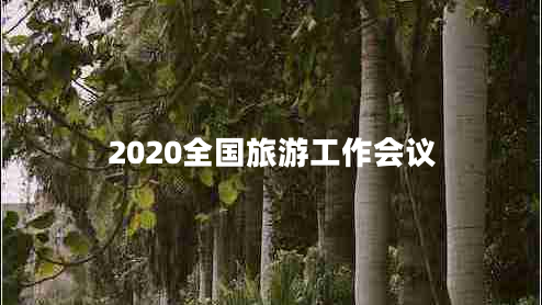 2020全国旅游工作会议