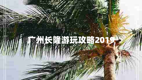 广州长隆游玩攻略2019