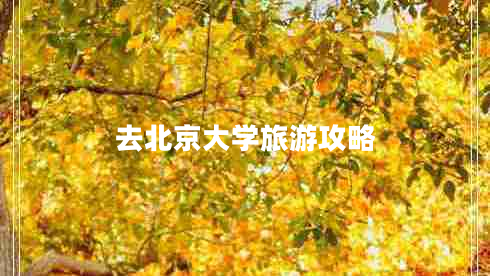 去北京大学旅游攻略