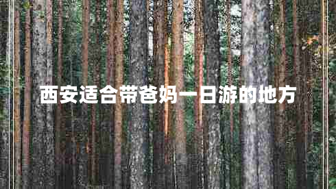 西安适合带爸妈一日游的地方